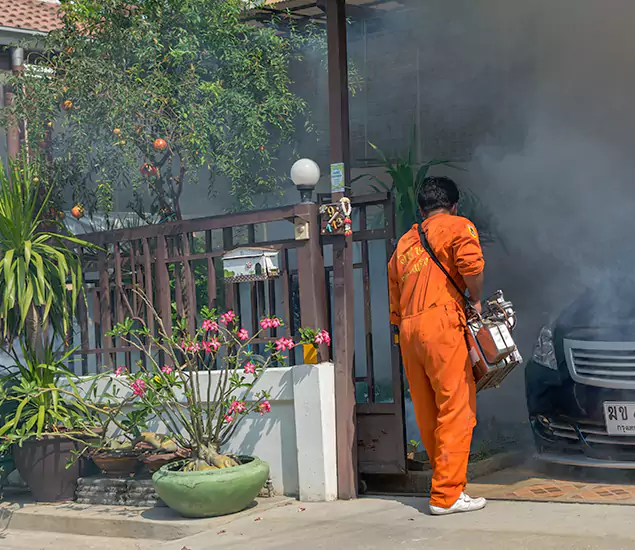 Your Proven Mosquito Fogging Company in Herndon, VA