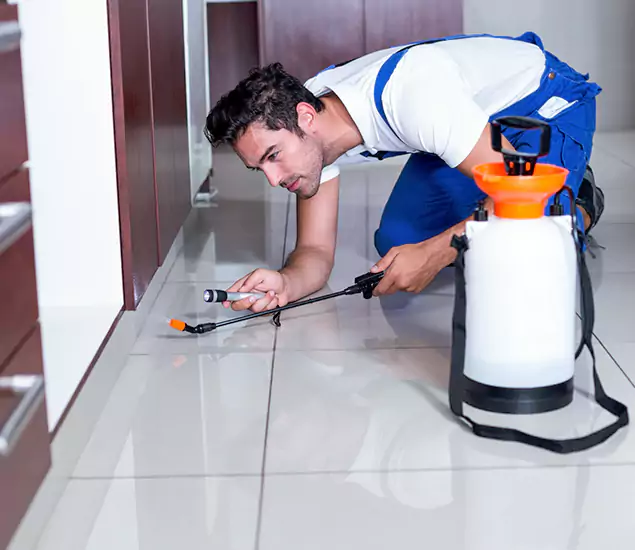 Reliable Professional Mouse Removal: Your Best Mouse Control Company in Herndon, VA