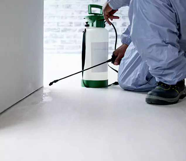 Affordable Pest Control Experts in Herndon, VA