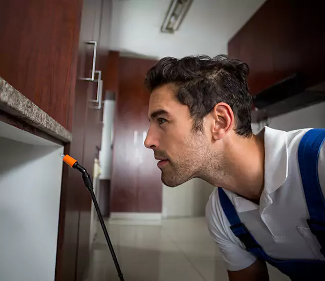 Expert Rodent in Attic Removal: Your Proven Pest Specialists in Herndon, VA