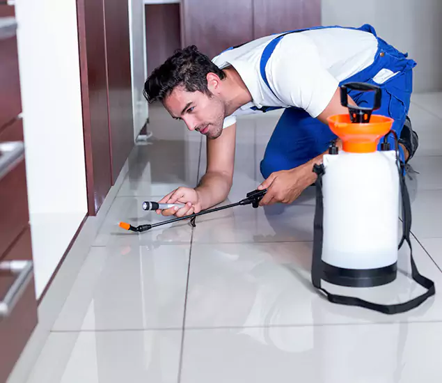 Advanced Slab Termite Treatment Experts You Can Trust&nbsp;in Herndon, VA