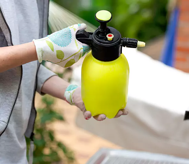 Skilled Residential Small Black Ant Service in Herndon, VA