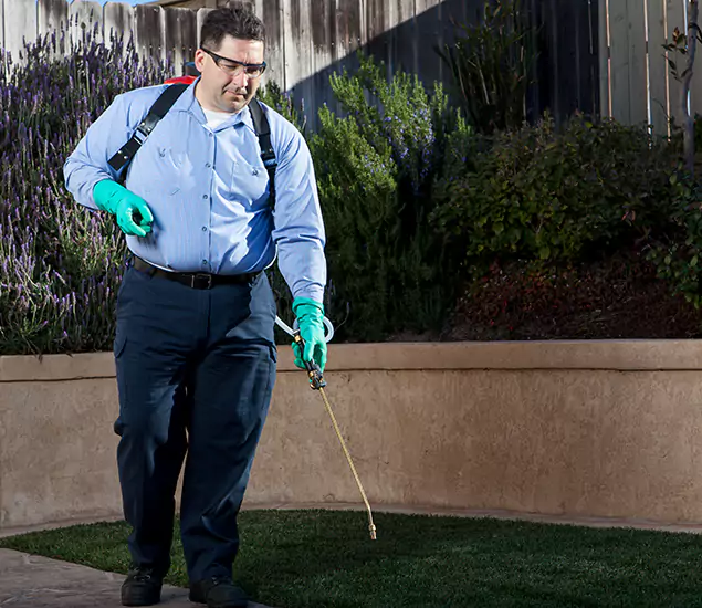 Reliable Termite Barrier Treatment Experts in Herndon, VA