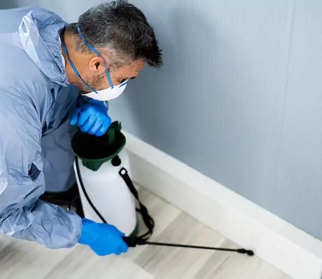Reliable Termite Cost Experts in Herndon, VA