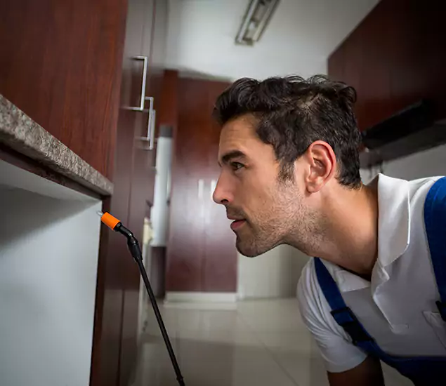 Termite Inspection Cost Experts You Can Trust in Herndon, VA