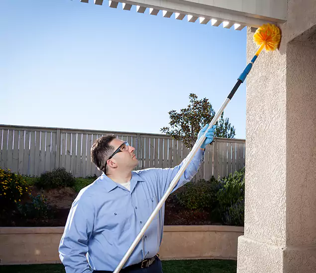 Your Trusted Wasp Removal Company in Herndon, VA