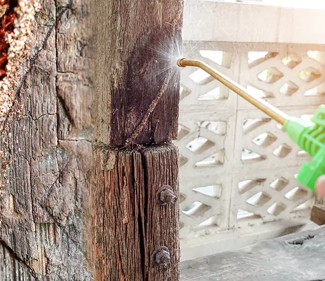 About Wood Termite Treatment Services in Herndon, VA