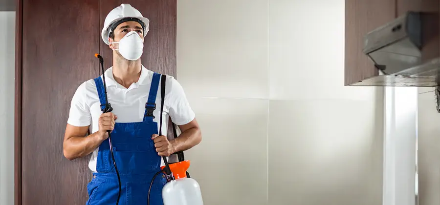 Per Room Bed Bug Cost in Herndon