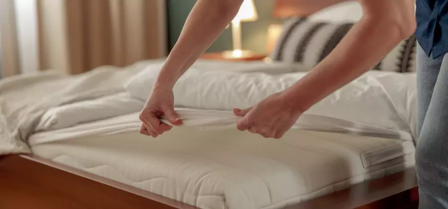 Bed Bug Extermination Services in Herndon