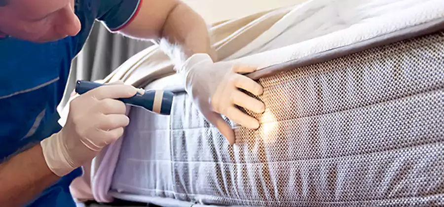 Residential Bed Bug Treatment Cost in Herndon