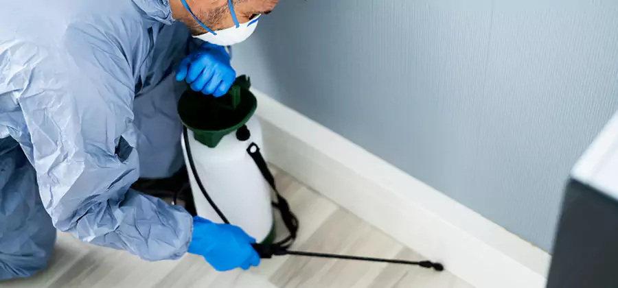 Fumigate Apartment Roaches in Herndon