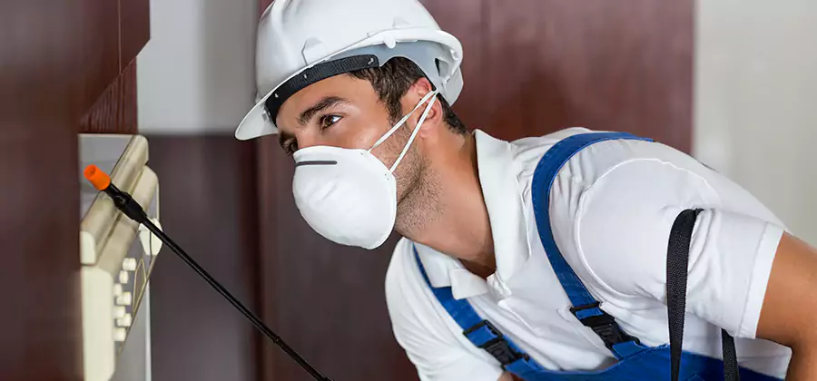 Injection Foam Treatment for Drywood Termites in Herndon