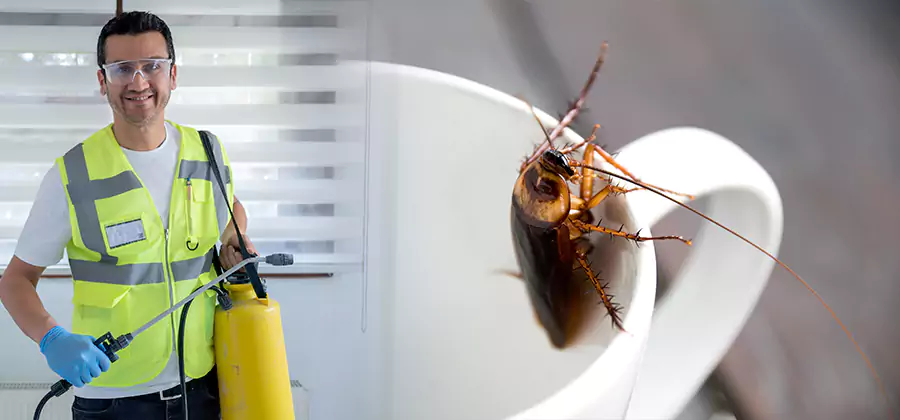 German Roach Infestation Treatment Herndon