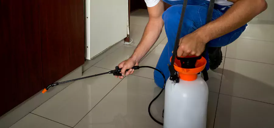 Indoor Mosquito Treatment in Herndon