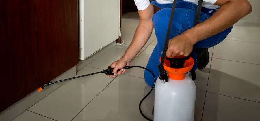 Indoor Insect Killer Solutions in Herndon