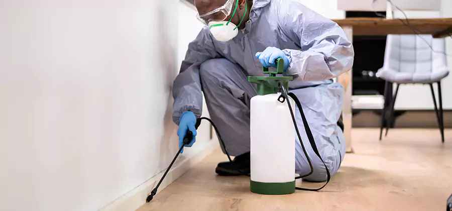 Long Lasting Mosquito Treatment in Herndon