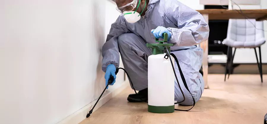 No Tent Termite Extermination With Electric Tool in Herndon