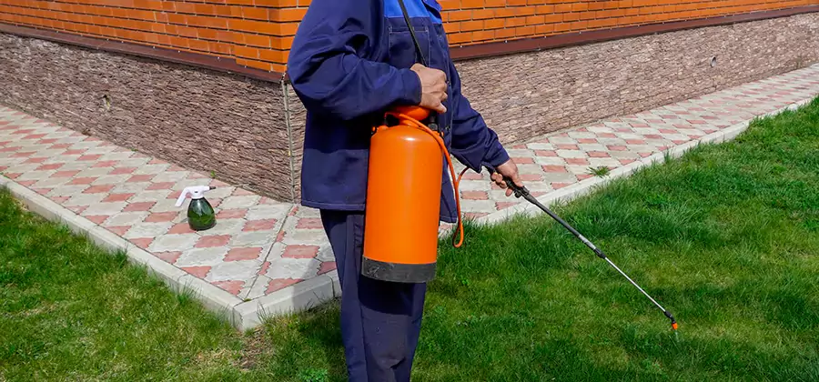 Non Toxic Termite Treatment in Herndon