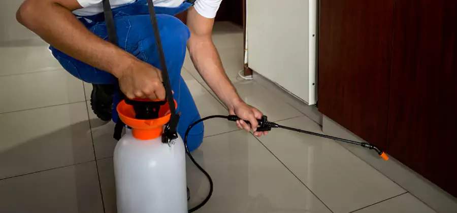One Time Termite Control in Herndon