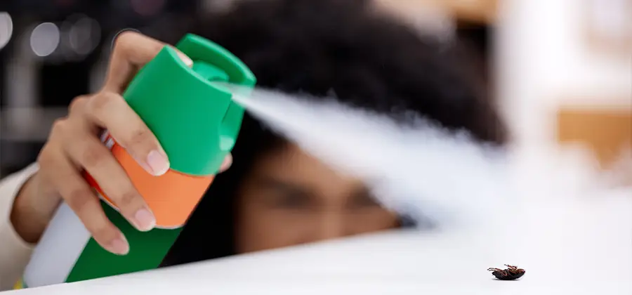 Child Safe Bed Bug Treatment in Herndon