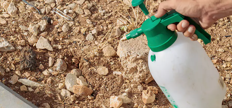 Heat Treatment Termite Cost in Herndon