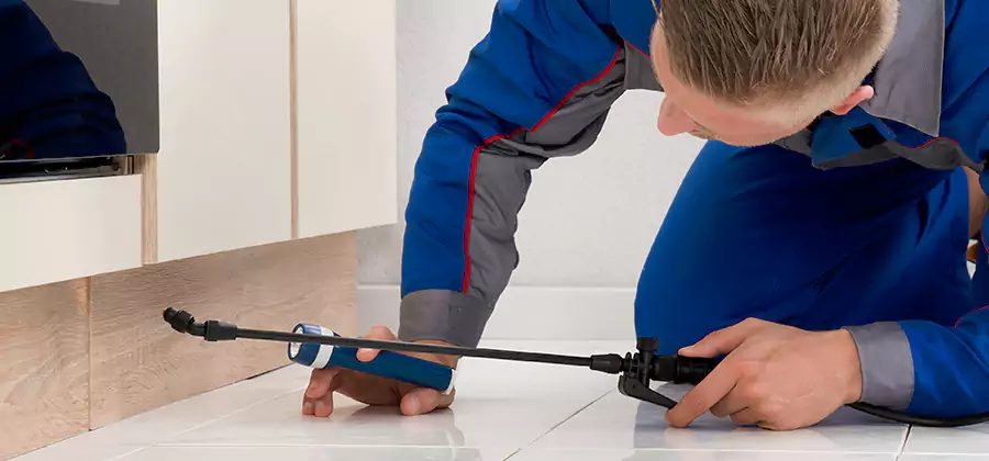 Moisture Treatment For Termite Control Service in Herndon