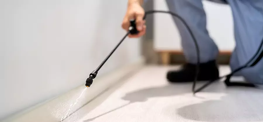 Direct Termite Injection Treatment in Herndon