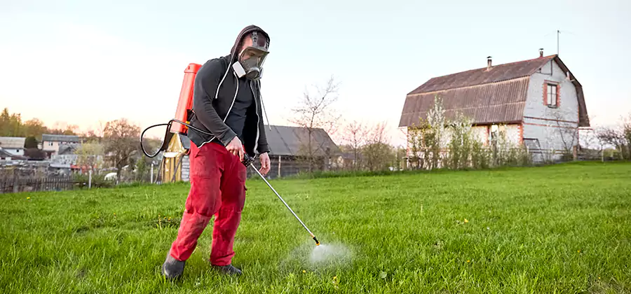 Flea and Tick Pest Control in Herndon