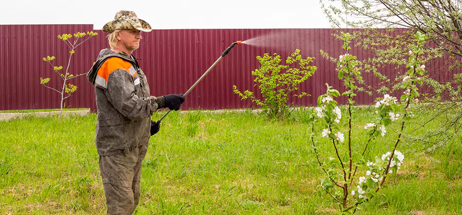 Flea and Tick Spray for Yard in Herndon