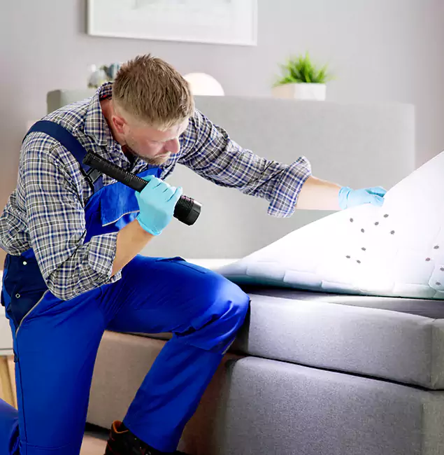 Why Choose Herndon Pest Control Pro for Bed Bug Exterminator Cost in Herndon, VA?