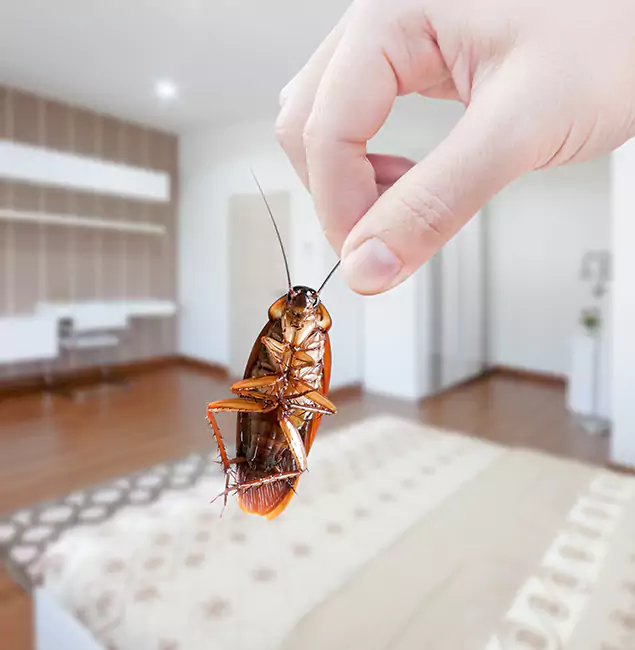 Why Herndon Pest Control Pro Stand Out for Bed Bug Fumigation in Herndon, VA?
