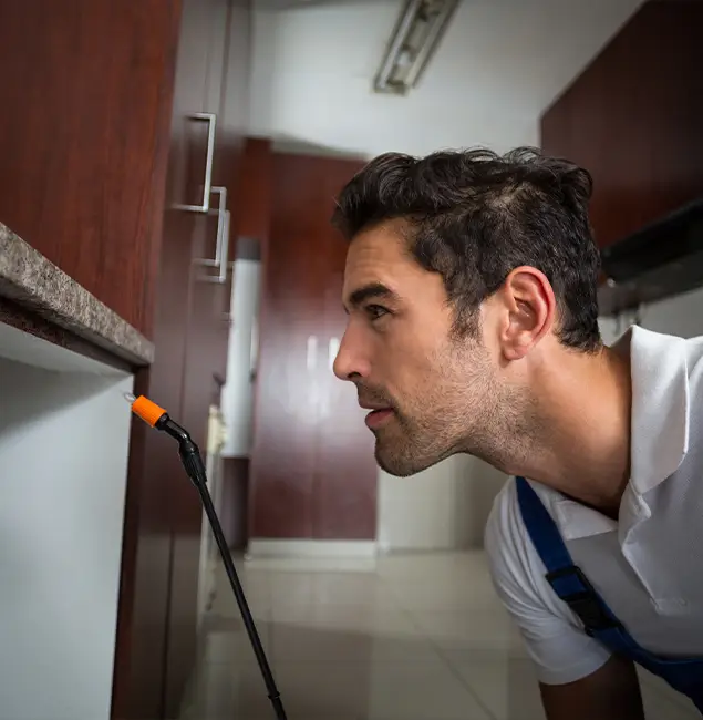 Why Choose Herndon Pest Control Pro for Bed Bug Removal Cost in Herndon, VA?