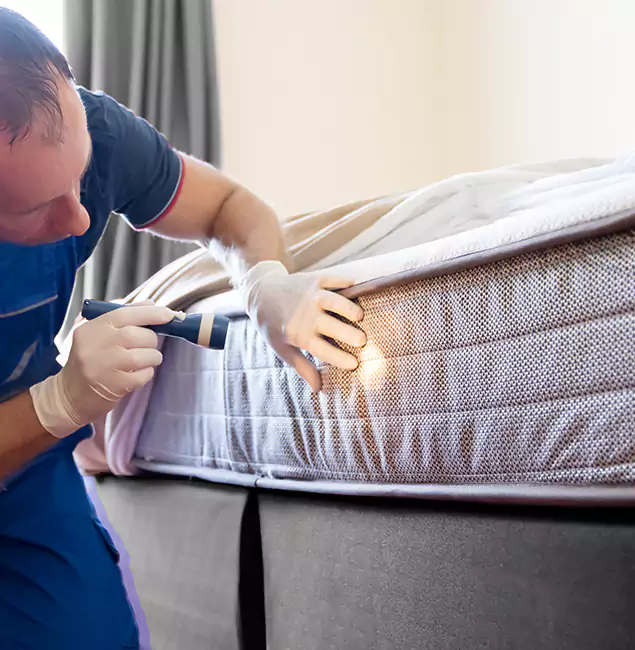 Why Choose Herndon Pest Control Pro for Bed Bug Services in Herndon, VA?