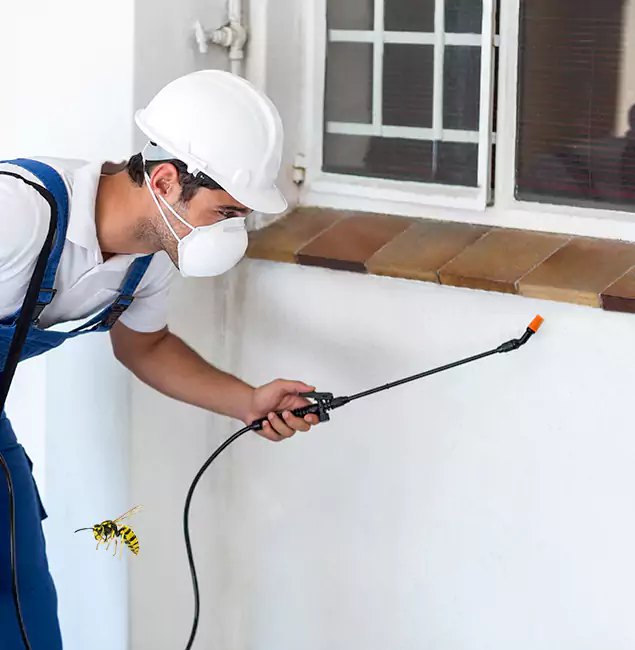 Why Herndon Property Owners Choose Herndon Pest Control Pro for Bee Nest Removal?