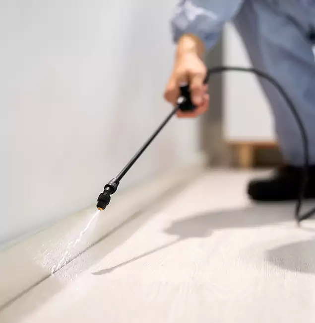 Why Choose Herndon Pest Control Pro for Termite Treatment in Herndon, VA?