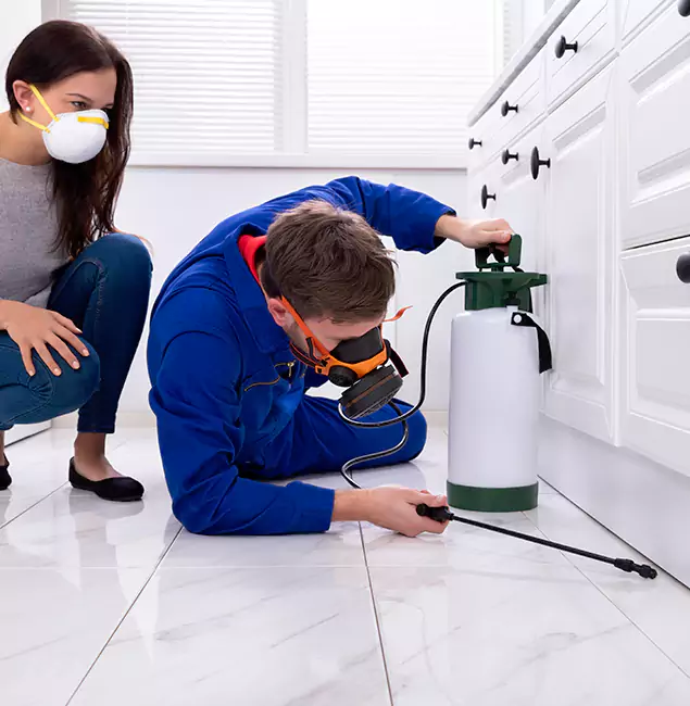 Why Herndon, VA Homeowners Trust Herndon Pest Control Pro for Roach Control?