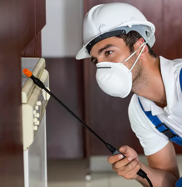Why Herndon Homeowners Rely on Herndon Pest Control Pro for Tick Treatment?