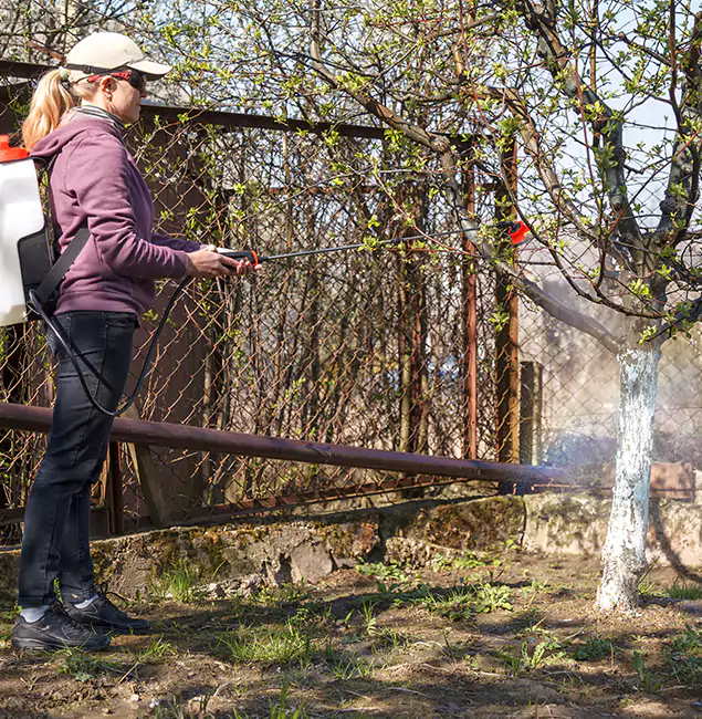 Why Herndon Homeowners Choose Herndon Pest Control Pro for Mosquito Abatement?