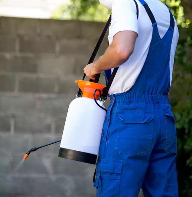 Why Herndon Homeowners Rely on Herndon Pest Control Pro for Mosquito Control?