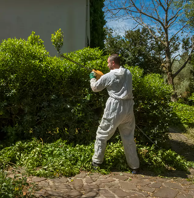 Why Herndon Pest Control Pro Leads Mosquito Control in Herndon, VA?