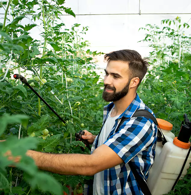 Why Herndon Homeowners Choose Herndon Pest Control Pro for Mosquito Spraying?