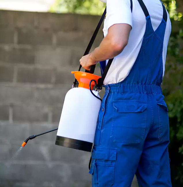 Why Herndon Pest Control Pro Delivers the Best Mosquito Control in Herndon, VA?