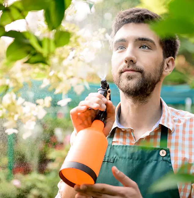 Why Herndon Homeowners Call Herndon Pest Control Pro for Mosquitoes in House?