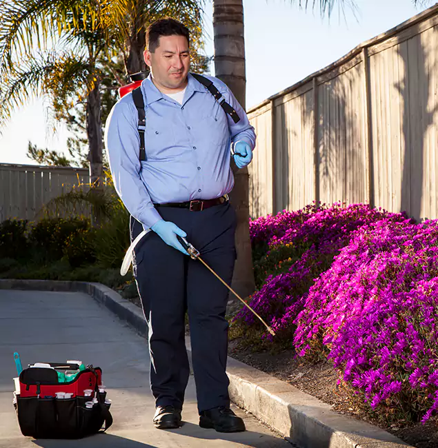 Why Choose Herndon Pest Control Pro in Herndon, VA?