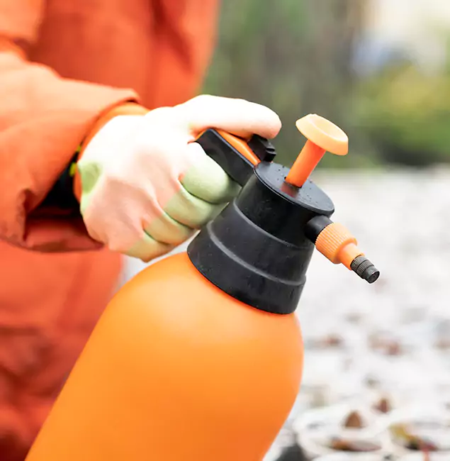 Why Choose Herndon Pest Control Pro for Orange Termite Treatment in Herndon, VA?