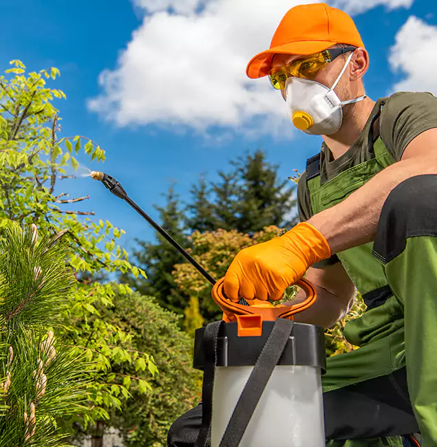 Why Choose Herndon Pest Control Pro for Outdoor Pest Control in Herndon, VA?