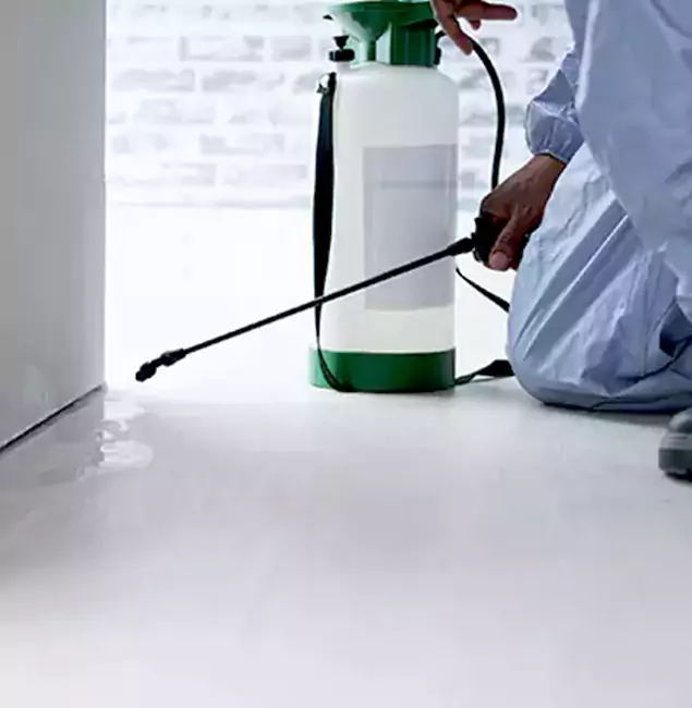 Why Choose Herndon Pest Control Pro for Rat Exterminator in Herndon, VA?