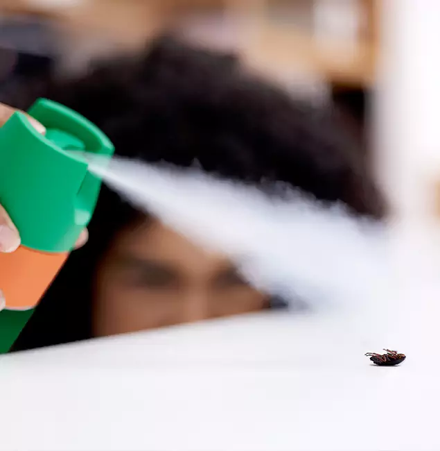 Why Herndon, VA Homeowners Choose Herndon Pest Control Pro for Roach Pest Control?