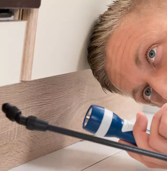 Why Choose Herndon Pest Control Pro for Rodent Exterminator in Herndon, VA?
