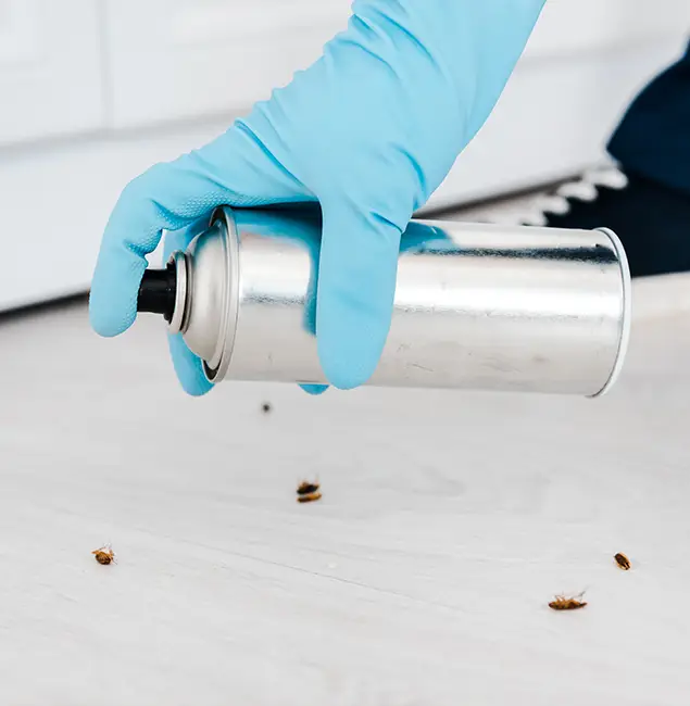 Why Choose Herndon Pest Control Pro for Safe Bed Bug Treatment in Herndon, VA?